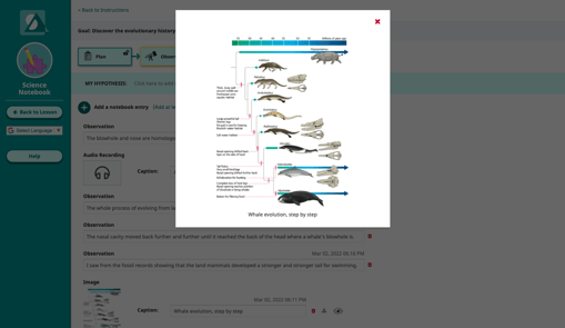 Science-Notebook_upload-image-fossil