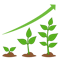 growth