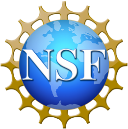 Logo-NSF@3x
