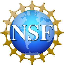 Logo-NSF@3x