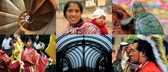 Example images