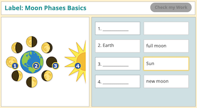 STEM-Diagram-activity