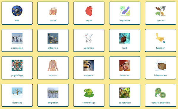 Screenshot of a Digital Word Wall