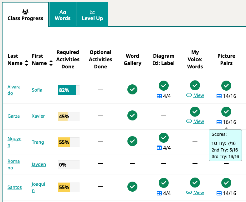 Screenshot of a class progress report in the Teacher part of the program.