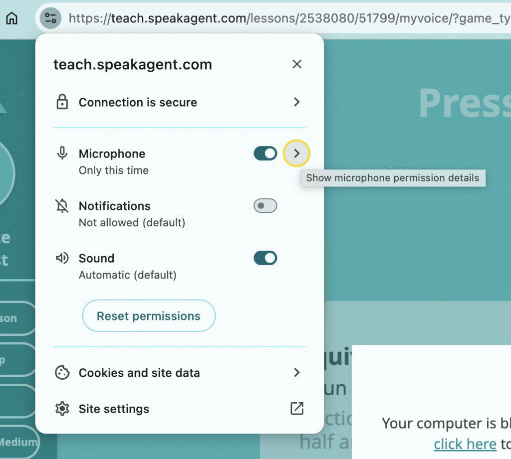 Screenshot of mic permissions menu