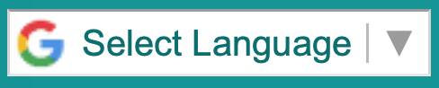 Google language dropdown