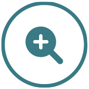 Zoom icon