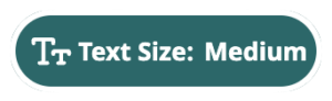 Text Size button used to magnify text