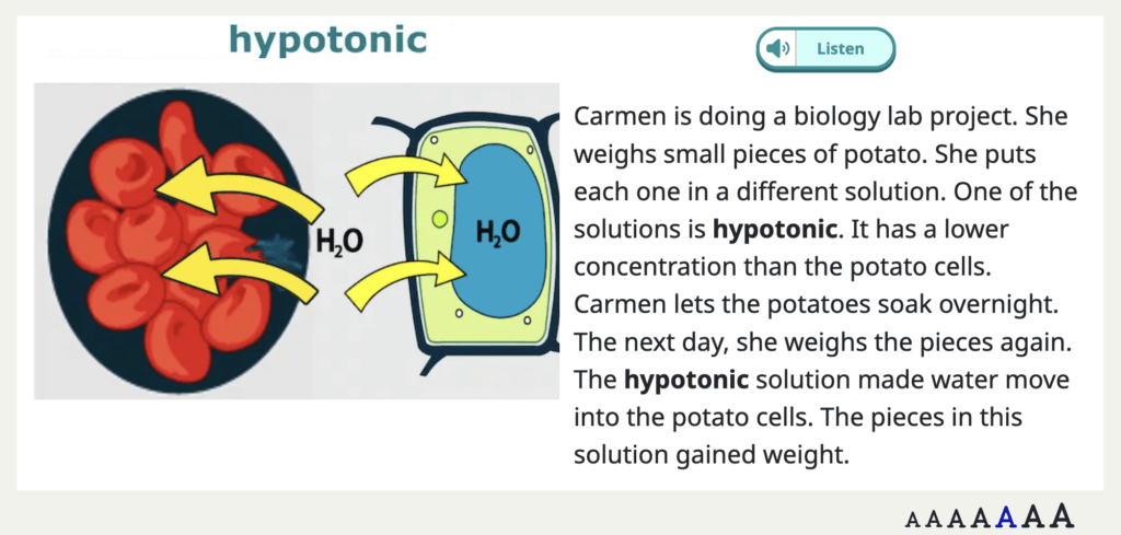 an example of a visual aid in the Vocab Lab activity in Speak Agent